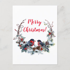 Cartão Postal De Festividades Bullfinch Natal