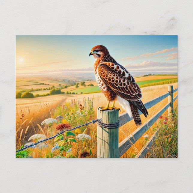 Cartão Postal De Festividades Buzzard comum sobre a cerca sobre o campo (Frente)