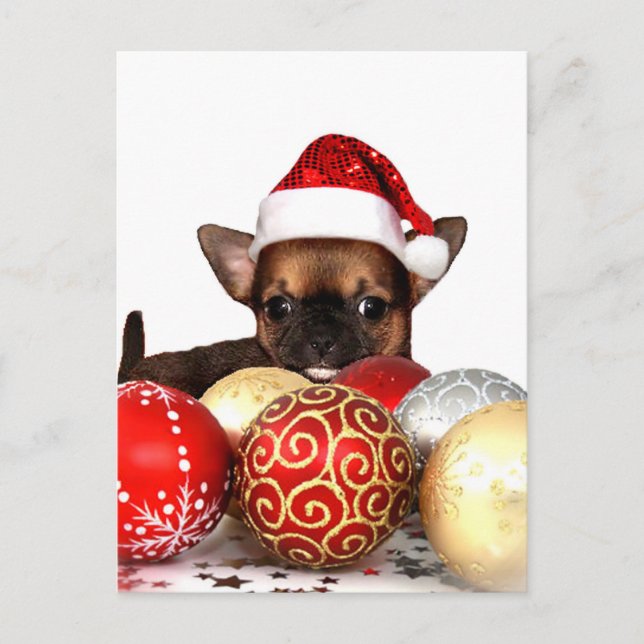 Cartão Postal De Festividades cachorrinho de Natal (Frente)