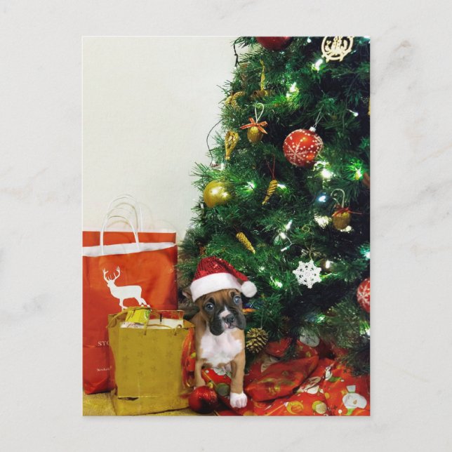 Cartão Postal De Festividades cachorrinho de Natal (Frente)