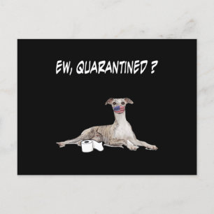 Cartão Postal De Festividades Cachorro Borrão Cachorro Bantado Vestindo Uma Má