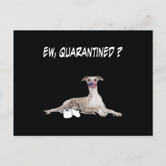 Cartão Postal De Festividades Cachorro Borrão Cachorro Bantado Vestindo Uma Másc