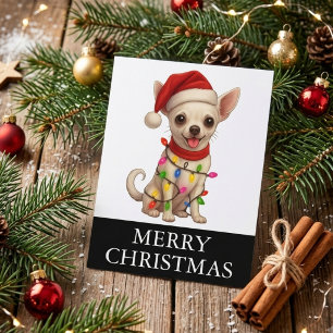 Cartão Postal De Festividades Cachorro Chihuahua Natal Papai Noel Fofo