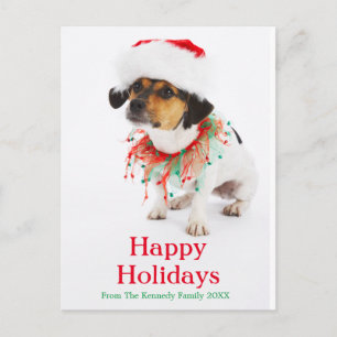 Cartão Postal De Festividades Cachorro com Colar de Natal e Papai Noel