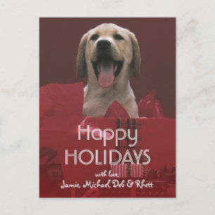 Cartão Postal De Festividades Cachorro com presentes de férias
