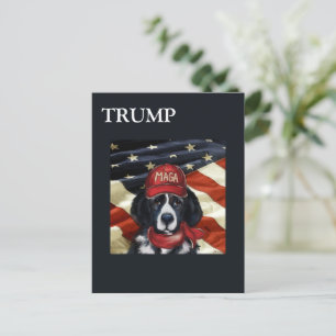 CARTÃO POSTAL DE FESTIVIDADES CACHORRO DA NOVEMBRA