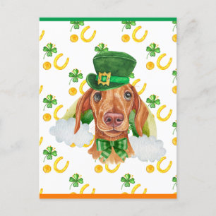 Cartão Postal De Festividades Cachorro Dachshund Creme Trevo Dia de São Patrício