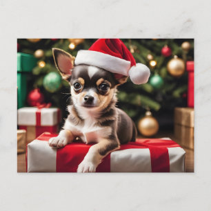 Cartão Postal De Festividades Cachorro de Natal Chihuahua