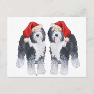 Cartão Postal De Festividades Cachorro de Pastoreio Inglês Antigo Chapéu de Papa