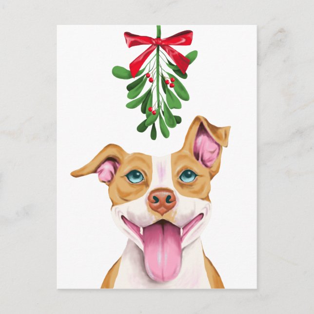 Cartão Postal De Festividades Cachorro de Pitbull e Mistura de Natal (Frente)