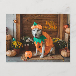 Cartão Postal De Festividades Cachorro Engraçado no Figurino de Halloween