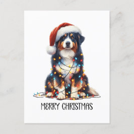 Cartão Postal De Festividades Cachorro-pastor australiano molhado à luz de Natal