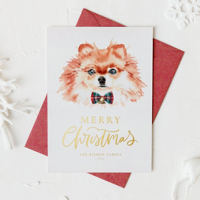 Cartão Postal De Festividades Cachorro Pomeraniano Cachorro Cachorro Feliz Natal (Criador carregado)