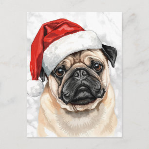 Cartão Postal De Festividades Cachorro Pug Fofo com Chapéu de Papai Noel em Aqua