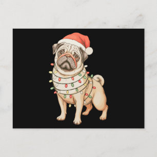 Cartão Postal De Festividades Cachorro Pug Natal Chapéu do Papai Noel Luzes de N