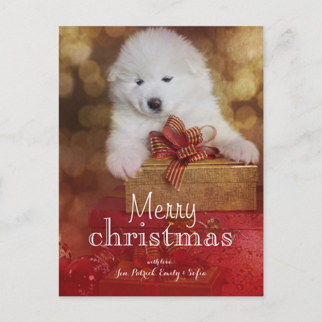 Cartão Postal De Festividades Cachorro Samoyed Com Presentes De Natal (Frente)
