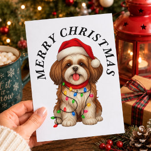 Cartão Postal De Festividades Cachorro Shih Tzu Feliz Natal Chapéu do Papai Noel