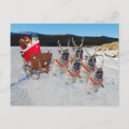 Cartão Postal De Festividades Cachorros de Natal Pug Puxando um Sleigh