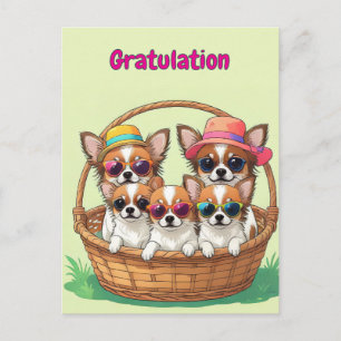 Cartão Postal De Festividades Cachorros engraçados de Chihuahua