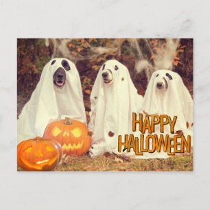 Cartão Postal De Festividades Cachorros Felizes de Halloween em Figurinos Fantas
