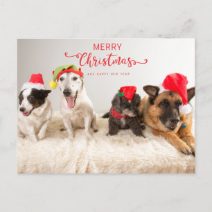 Cartão Postal De Festividades Cachorros Felizes de Natal em Santa Hats