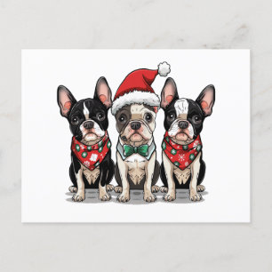 Cartão Postal De Festividades Cães Boston Terrier de Natal