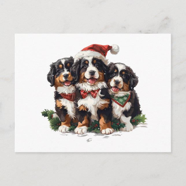 Cartão Postal De Festividades Cães das Montanhas Bernesas de Natal (Frente)