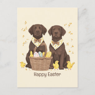 Cartão Postal De Festividades Cães de felz pascoa de chocolate Labrador