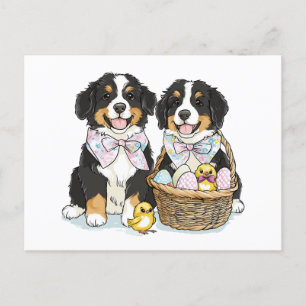 Cartão Postal De Festividades Cães de Montanha Bernese páscoas