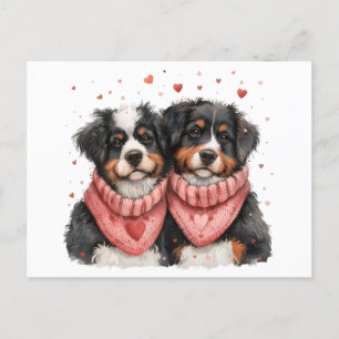 Cartão Postal De Festividades Cães de Montanha dia de os namorados Bernese