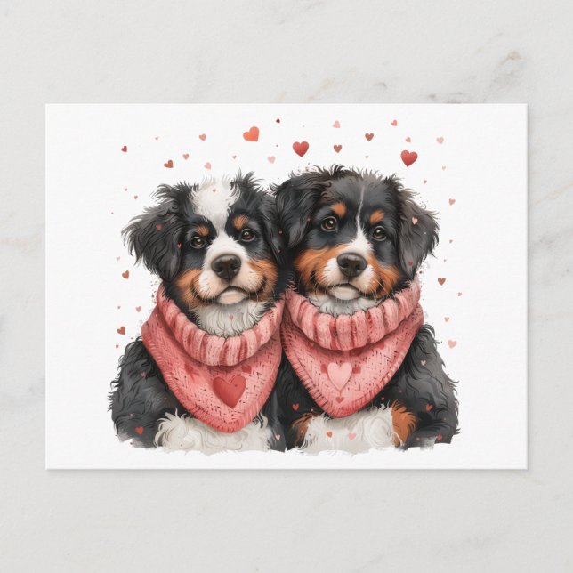 Cartão Postal De Festividades Cães de Montanha dia de os namorados Bernese (Frente)