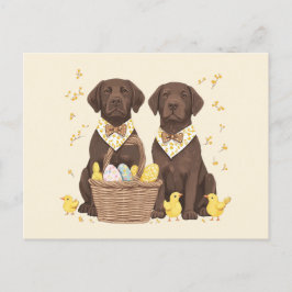 Cartão Postal De Festividades Cães de páscoa de chocolate Labrador