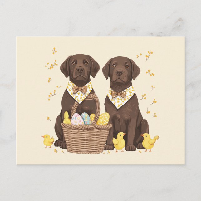 Cartão Postal De Festividades Cães de páscoa de chocolate Labrador (Frente)