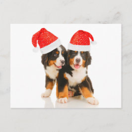 Cartão Postal De Festividades Cães Desejam Um Crítico Feliz