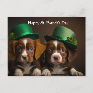 Cartão Postal De Festividades cães do dia de são patrício