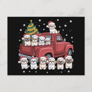 Cartão Postal De Festividades Cães Shih Tzu de Natal Caminhão Vermelho Chapéu do