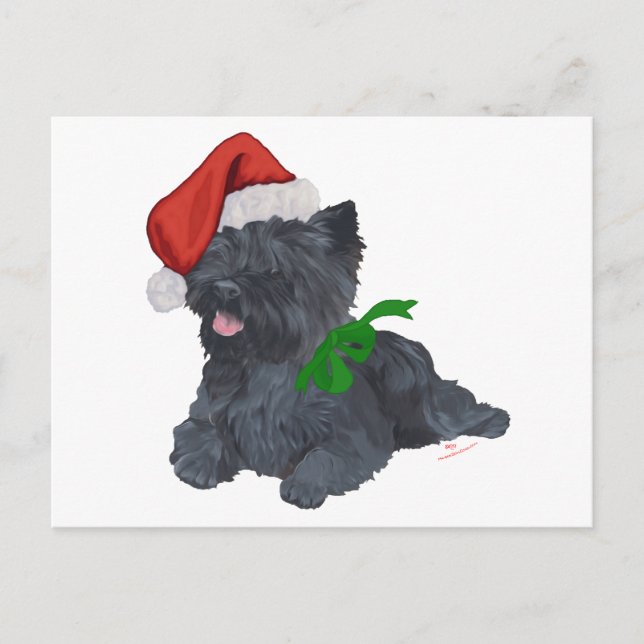 Cartão Postal De Festividades Cairn Terrier Christmas (Frente)
