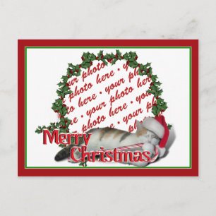 Cartão Postal De Festividades Cali the Calico Christmas Cat Photo Frame