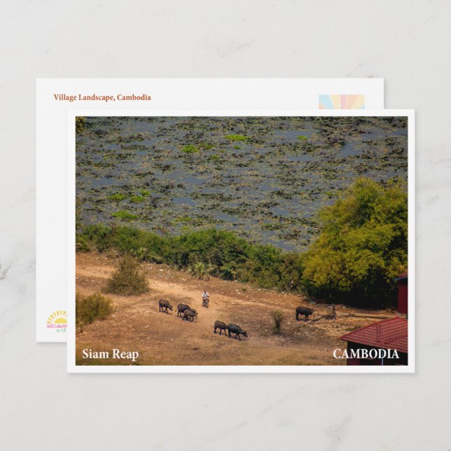 Cartão Postal De Festividades Cambodian Village Landscape Postcard (Frente/Verso)