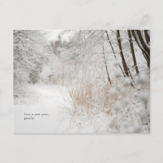 Cartão Postal De Festividades Caminho Mínimo da Floresta de Inverno, Ano Novo