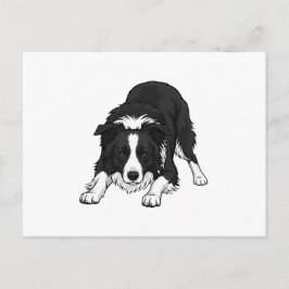 Cartão Postal De Festividades Cão Border Collie