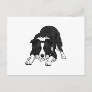 Cartão Postal De Festividades Cão Border Collie