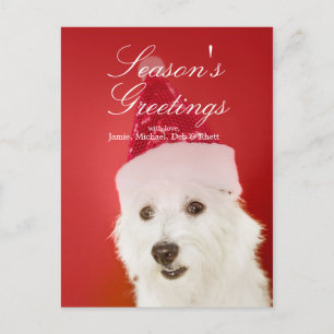 Cartão Postal De Festividades Cão branco com chapéu de Papai Noel