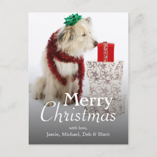 Cartão Postal De Festividades Cão com Decorações e Presentes