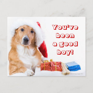 Cartão Postal De Festividades Cão de Natal com chifre e presentes coloridos