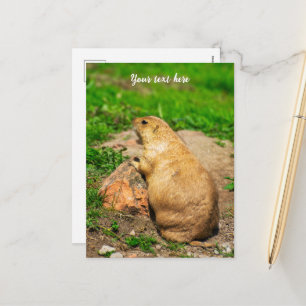 Cartão Postal De Festividades Cão-de-Pradaria-Preto