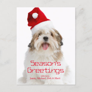 Cartão Postal De Festividades Cão de sorriso de Lhasa Apso que veste o chapéu 