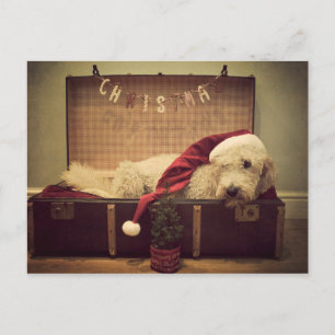 Cartão Postal De Festividades Cão dormindo na mala