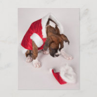 Cão em um traje do papai noel