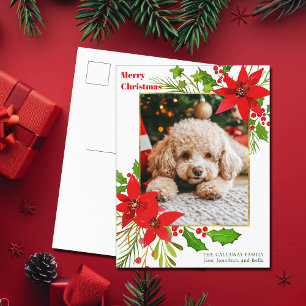 Cartão Postal De Festividades Cão Festivo Vermelho Floral Foto Natal Poinsettia